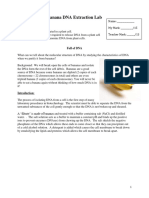 2 - Dna Extraction Lab VMC Version - Modified For Banana