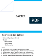 Materi Bakteri