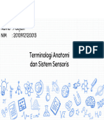 Terminologi Anatomi Dan Sistem Sensoris