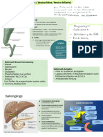 Gallenblase Anatomie Physiologie Pathologie