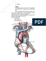 Anatomie LP 11