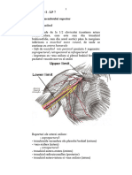 Anatomie LP 7