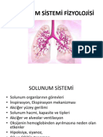 7-Solunum Sistemi Fizyolojisi 2021 SBF-1