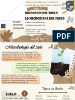 CLASE 13. Microbiología Del Suelo