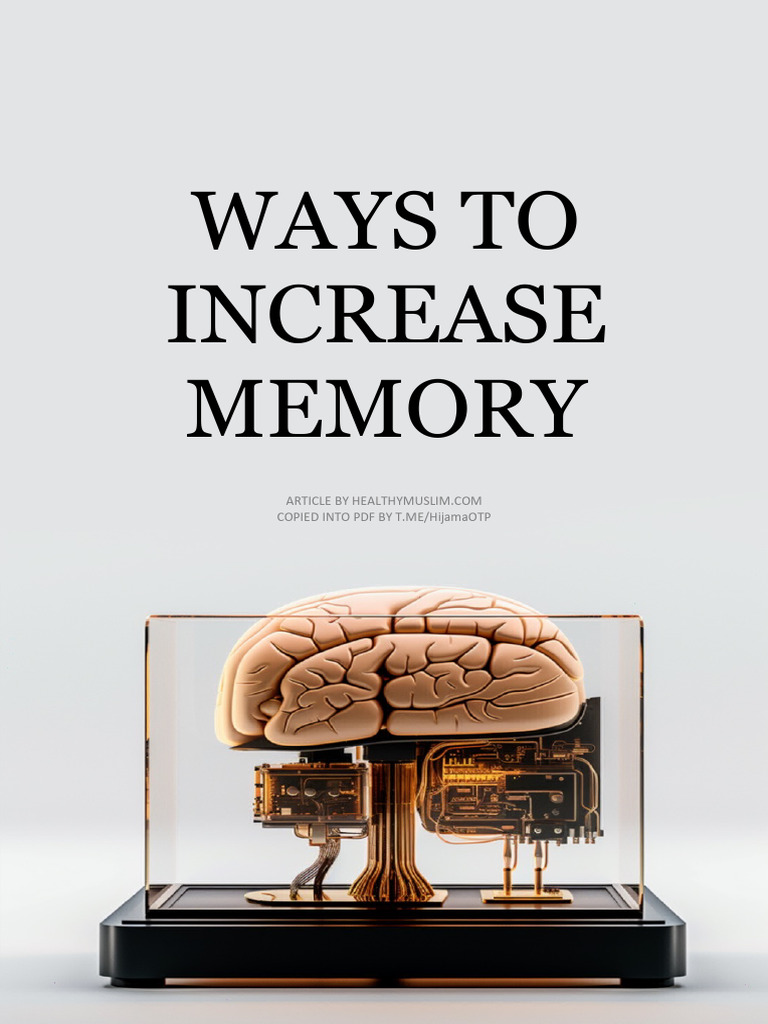 Ways To Increase Memory | PDF