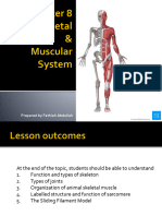 Chapter 8 - Skeletal & Muscular System
