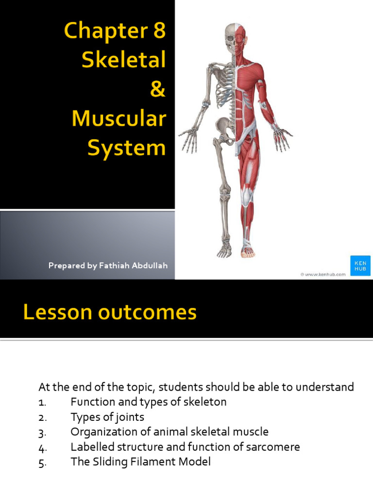 Chapter 8 Skeletal Muscular System Pdf