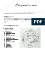 Protozoarios 