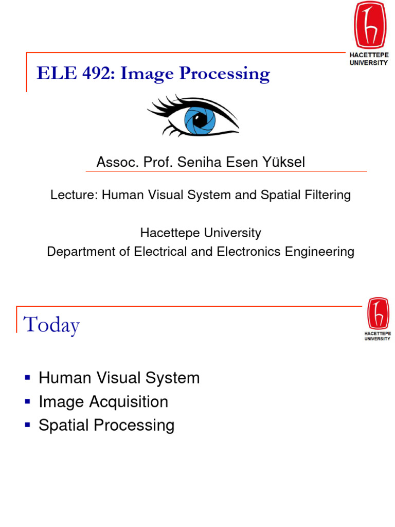 Human Visual System & Image Processing | PDF | Eye | Retina
