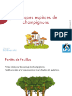 Livret champignons pour élèves.pdf