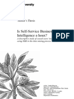 Is Self-Service Business Intelligence A Hoax?: Master's Thesis