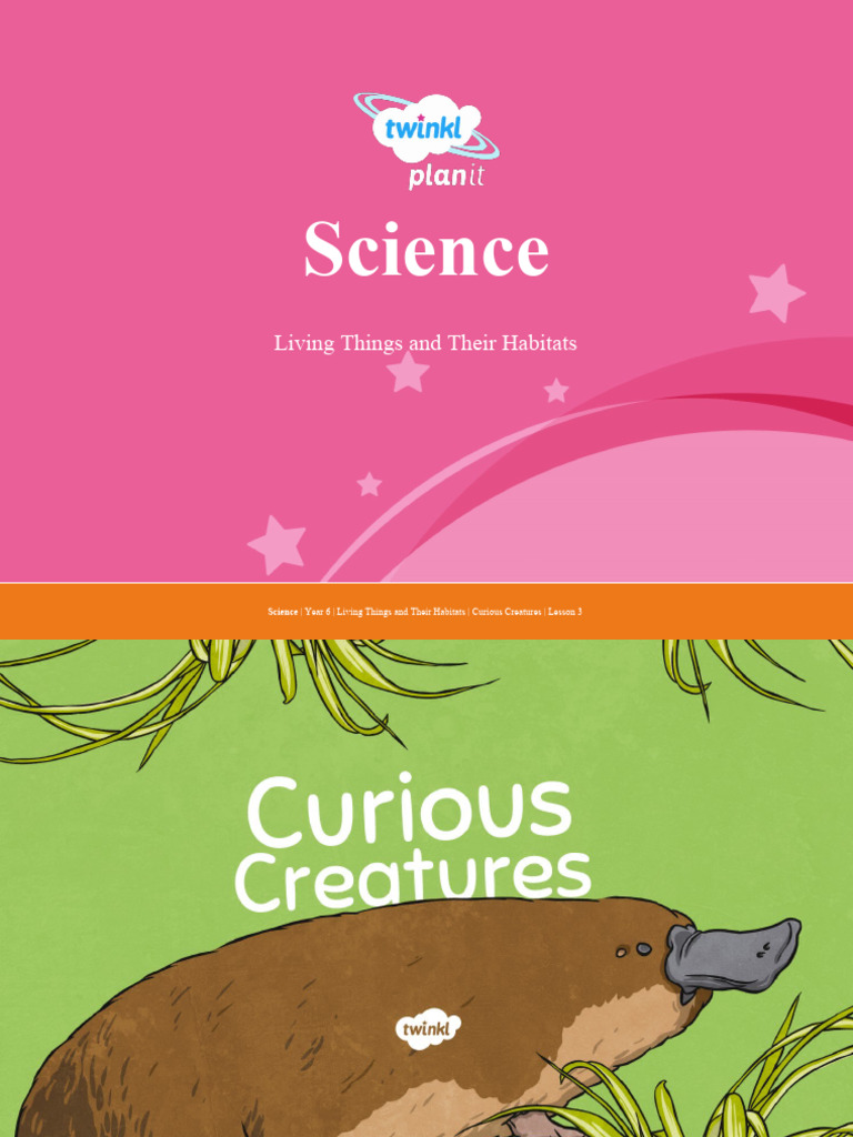 Science Curious Creatures PPT 2 | PDF