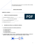 Guía Preparación 1° Prueba Ech