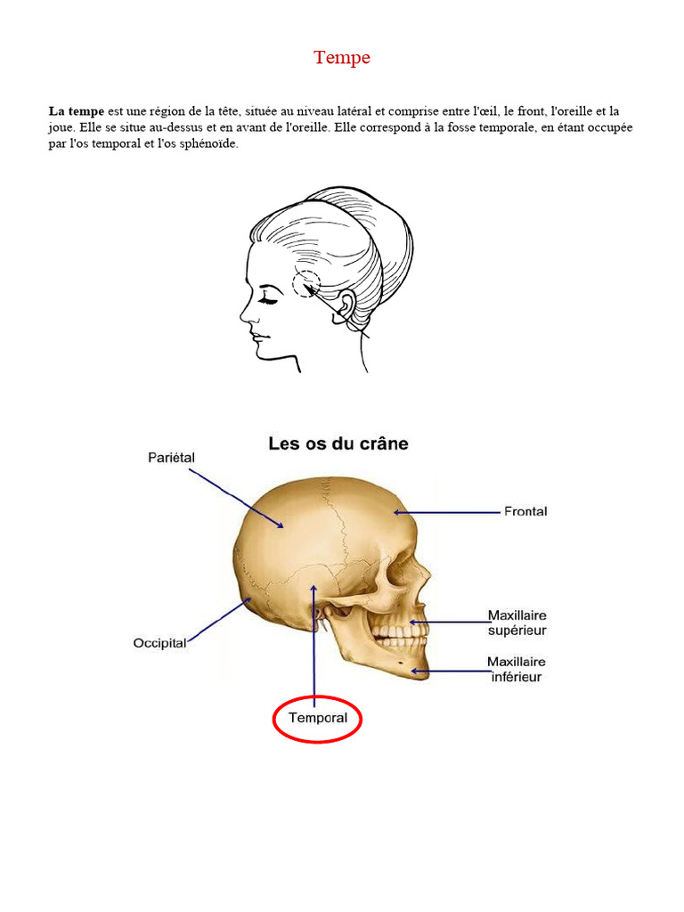 Définition Tempe PDF
