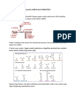 Asam Amino Dan Protein