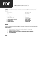 Example of Bacteria Sample Testing Lab Report | Bacteria | Staining