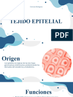 Tejido Epitelial PPT by Mónica BC.