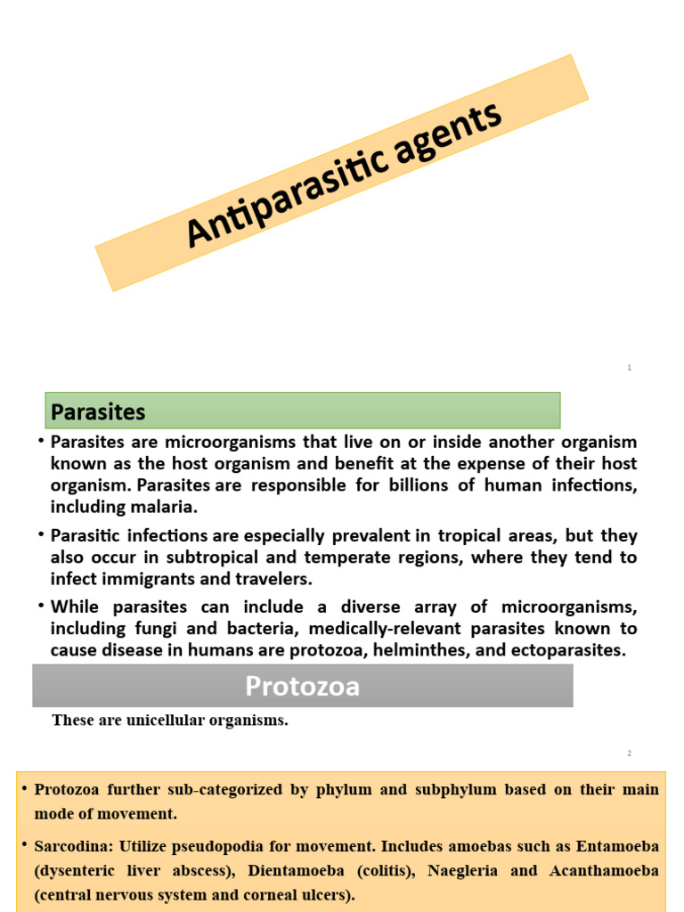 Lecture 16 Antiparasitic Agents | PDF