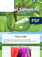Silk and Silkworms Powerpoint English - Ver - 1