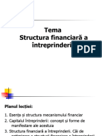 Tema - Structura Fin A Intreprinderii - EG