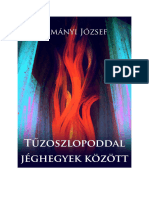 Tűzoszlopoddal Jéghegyek Között - ZimányiJozsef