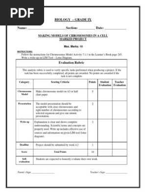 Rubric for Marked Project Chromosome Model