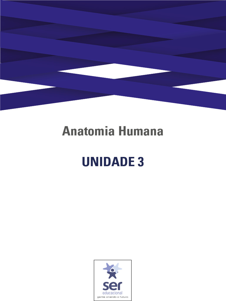 Guia De Estudos Da Unidade 3 Anatomia Humana Pdf