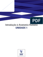 Guia de Estudos Atomia Humana