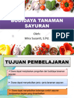 Budidaya Sayuran 1