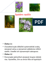 System Rastlin