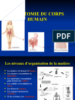 Anatomie Du Corps Humain