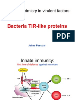 Structural Mimicry in Virulent Factors:: Bacteria TIR-like Proteins