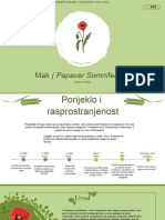 Mak (Papaver Somniferum)