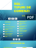 SQL-tipuri de Comenzi