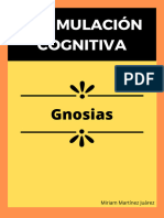 Tema 8. Gnosias