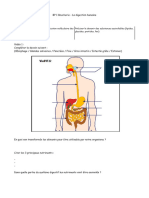 BP 1 Boucherie - La Digestion Humaine