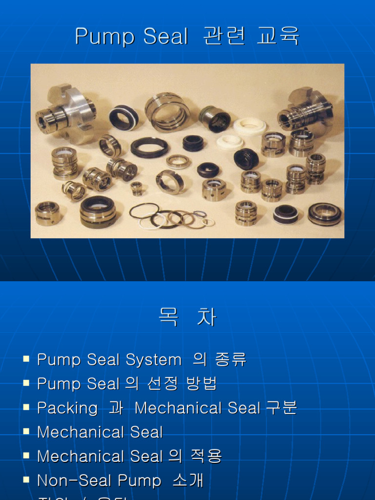 교육자료 (mechanical Seal) SEAL FLUSHING SYSTEM PDF