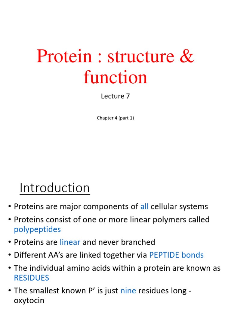 Protein Structure Function PDF Amino Acid Proteins