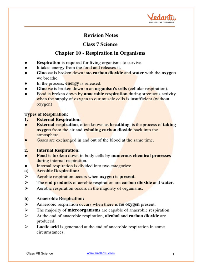 Types of Respiration in Organisms | PDF | Respiratory System | Breathing