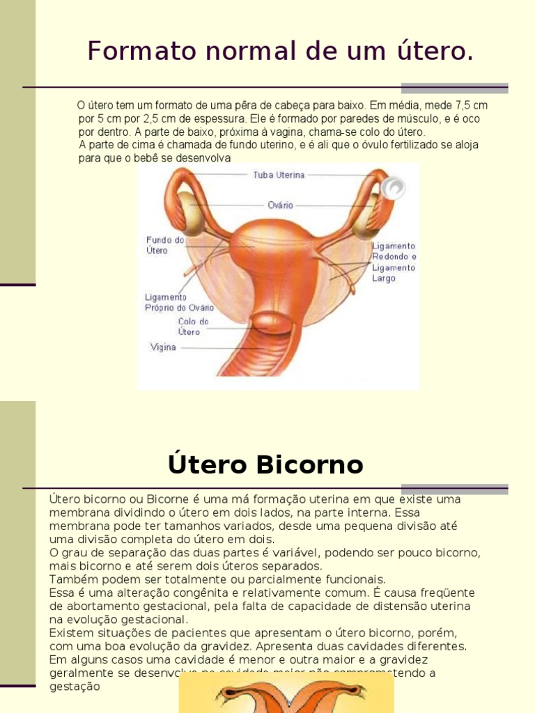 Gravidez e Útero Bicorno: Informações Essenciais | PDF | Gravidez ...