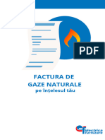 Factura de Gaze Naturale Pe Intelesul Tau