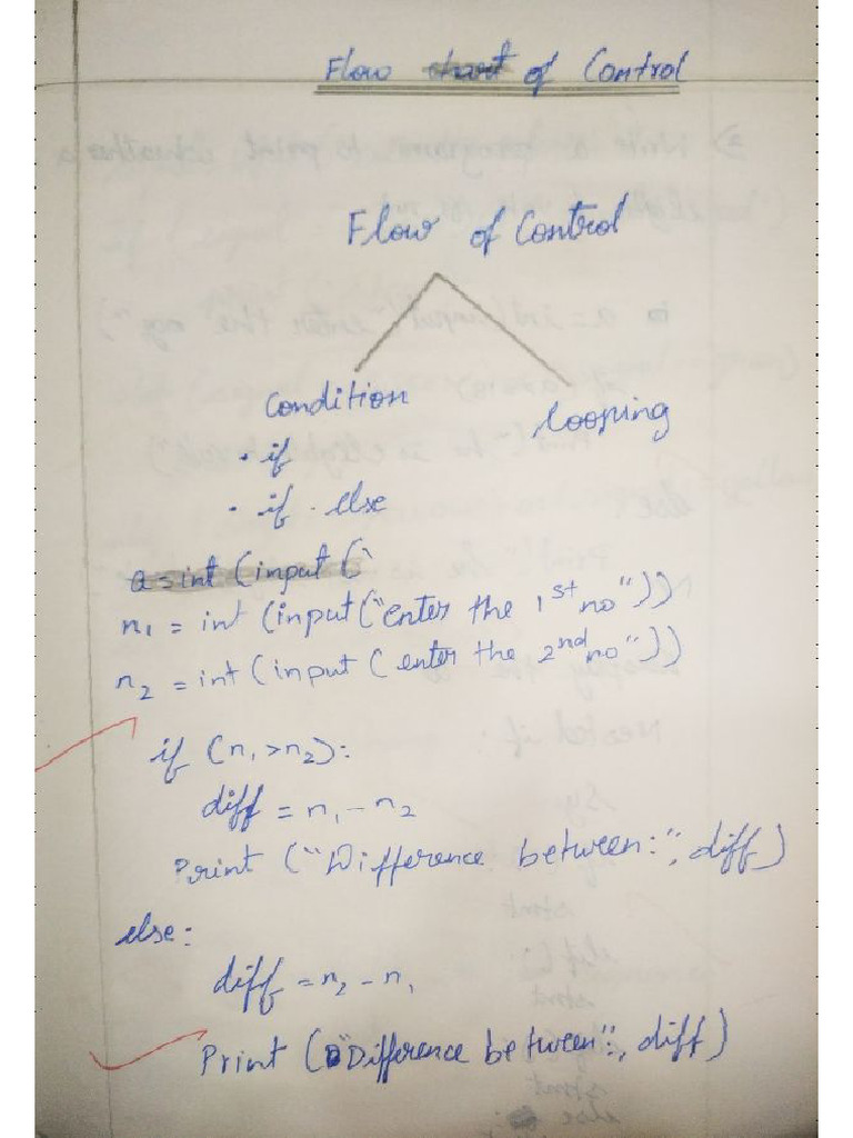 CS Flow of Control | PDF