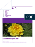 Cuvinte Magice (III)