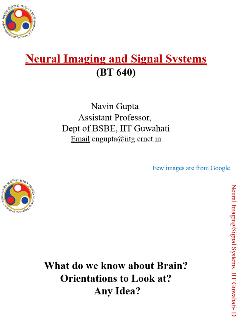 Iitg Ac In+ | PDF | Nervous System | Neuron