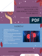 2.kir - Zahvati Na Bubregu