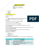 Bioquimica 2do Parcial