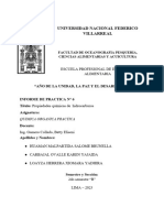 INFORME QUÍMICA ORGANICA N6