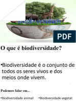 Bio Divers I Dade