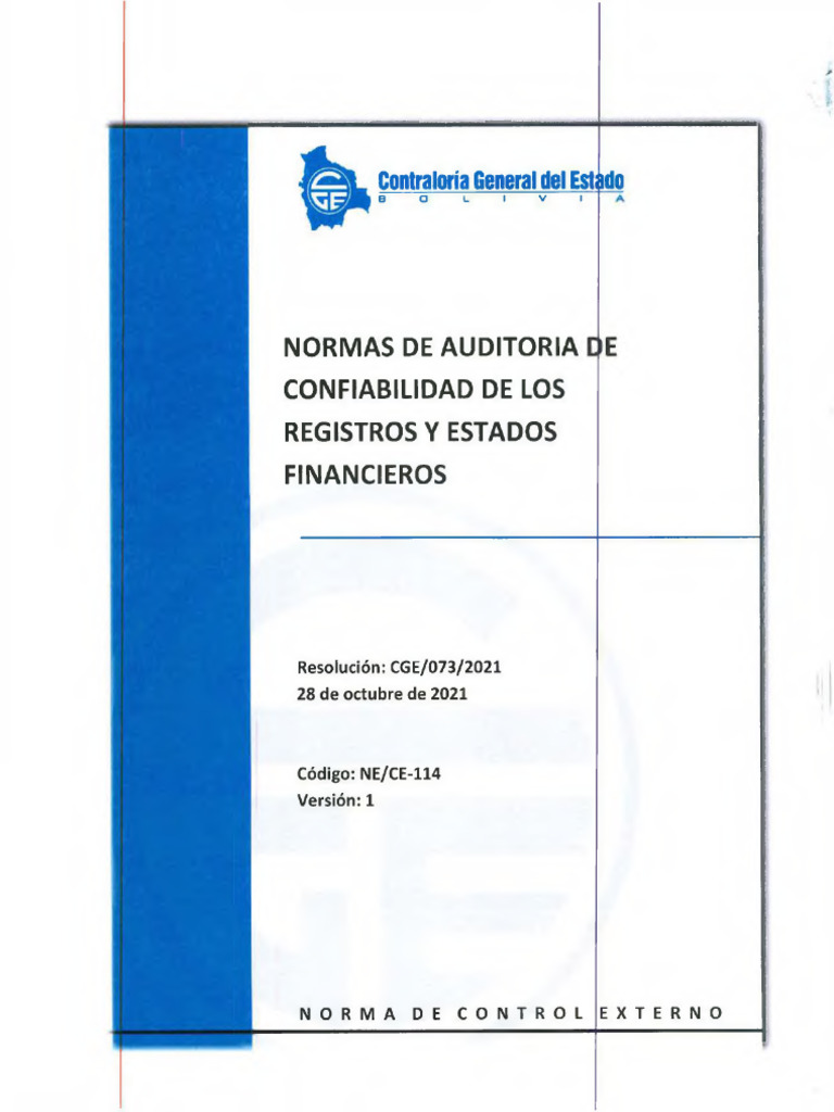 Normas de Auditoría Financiera 2021 | PDF