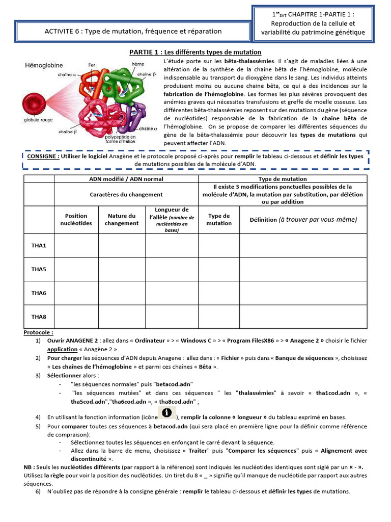 Mutations et analyse ADN avec Anagène 2 PDF Réplication de l'ADN ADN — free download